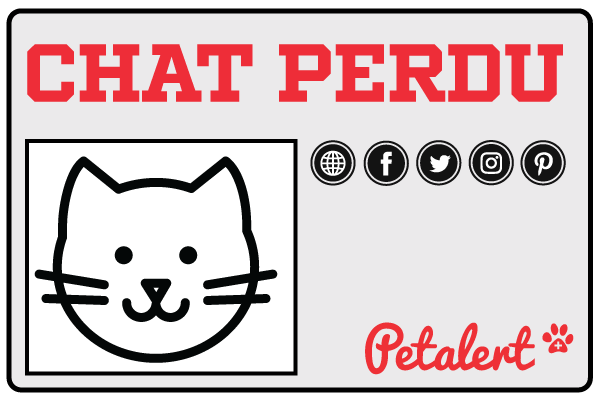 PetAlert broadcasts your lost cat review